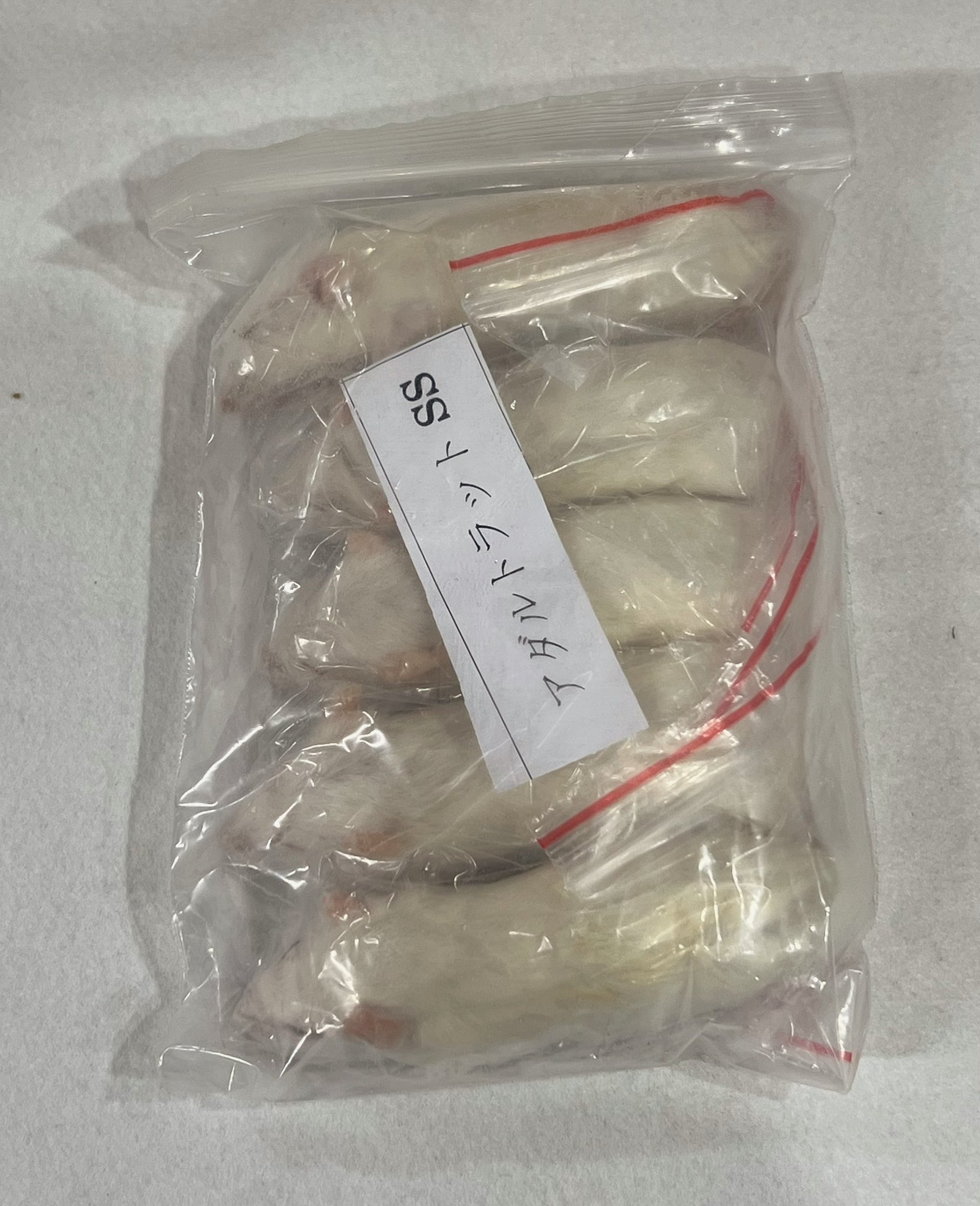 楽天市場】冷凍アダルトラット S 10匹 : WAJO CLUB 楽天市場店
