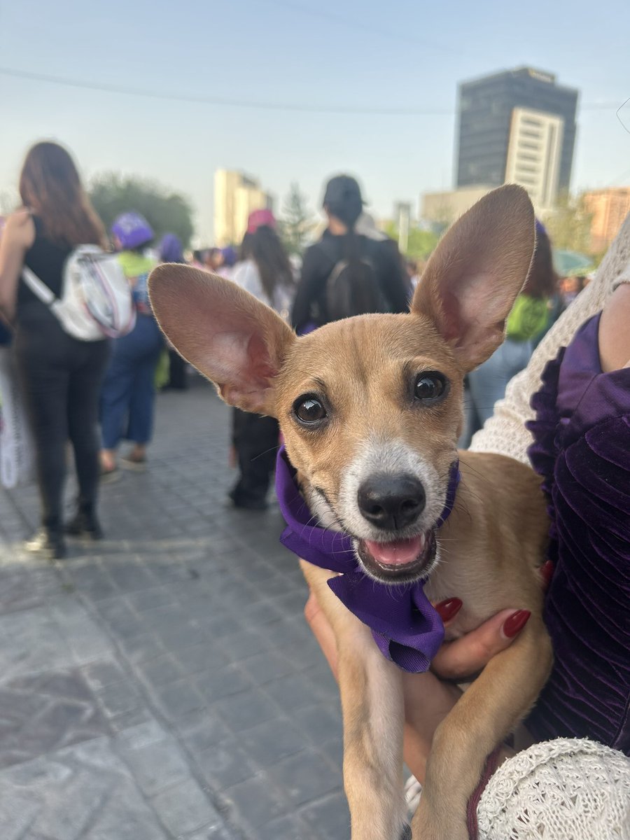 Mi cuarta marcha, la primera de Sabrina 🔥💜

Siempre sin importar que es un sentimiento muy fuerte el salir a marchar, tener que gritar con un nudo en la garganta es difícil pero no tan difícil como imaginar una vida sin las mujeres que me rodean