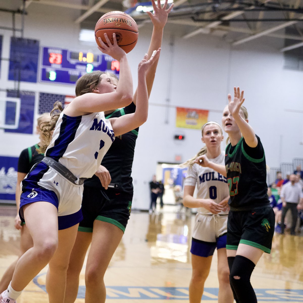 <a href="/LJLadyMules/">Lady Mules Basketball</a> Juniors got it going on!