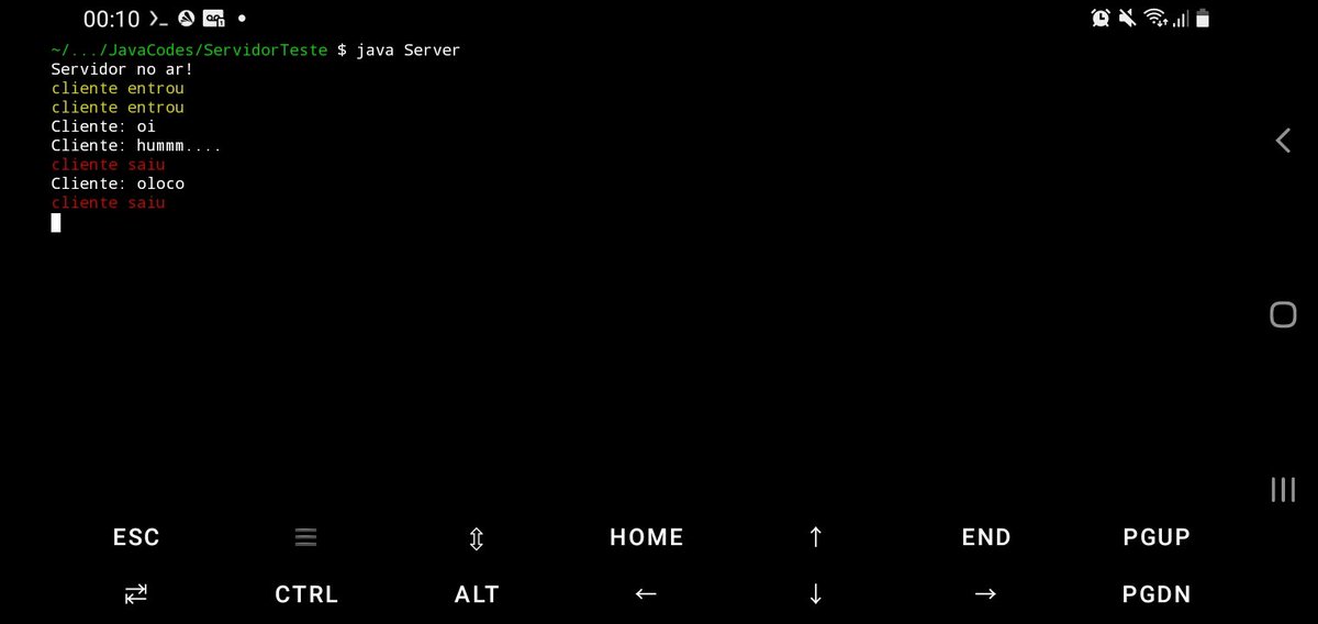 PredyDev's tweet image. Terminal colorido