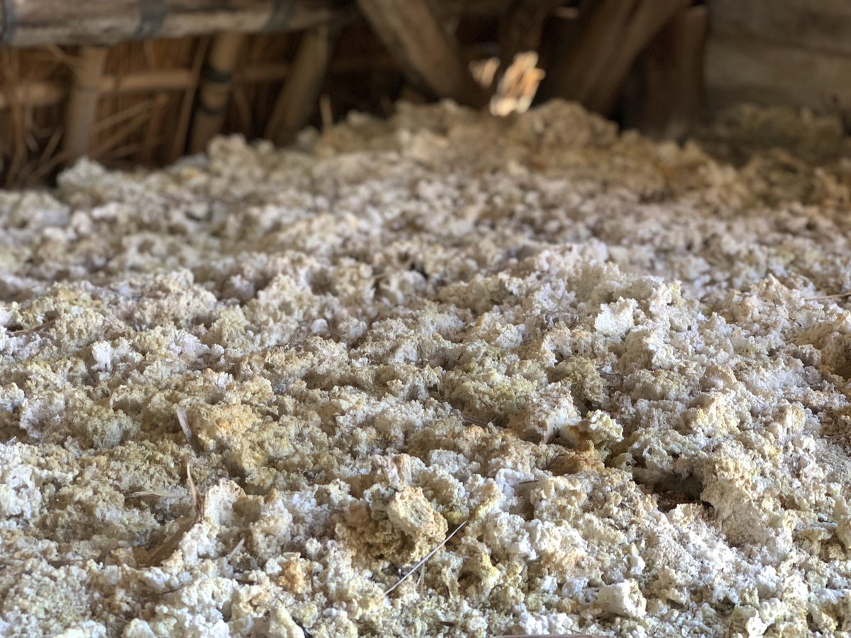 座の後は、明礬温泉♨️