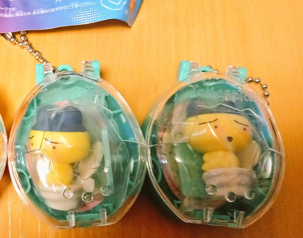 tamagot76804915's tweet photo. 郵送交換出来る方いましたら、宜しくお願いします🙏✨️
譲)まめっち✕2
求)くちぱっち
まるっち
#PoopTime
#tamagotchicollectiblespooptime https://t.co/y6wSq8X0vC