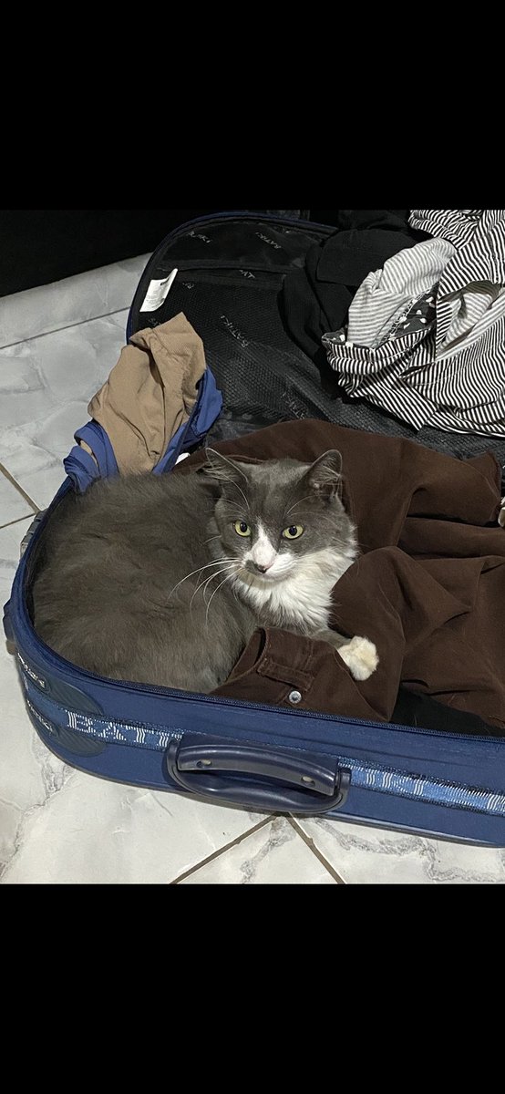generikka's tweet photo. ficou assim!!! ❤️❣️🥹😻 https://t.co/j1d3eCRKCq
