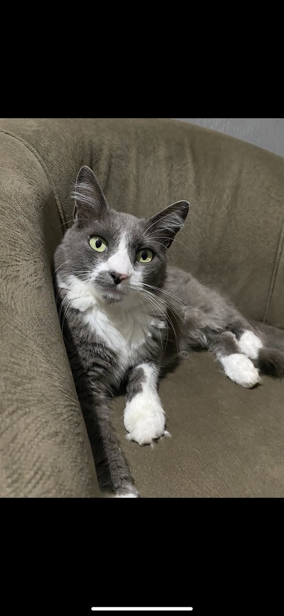 generikka's tweet photo. ficou assim!!! ❤️❣️🥹😻 https://t.co/j1d3eCRKCq