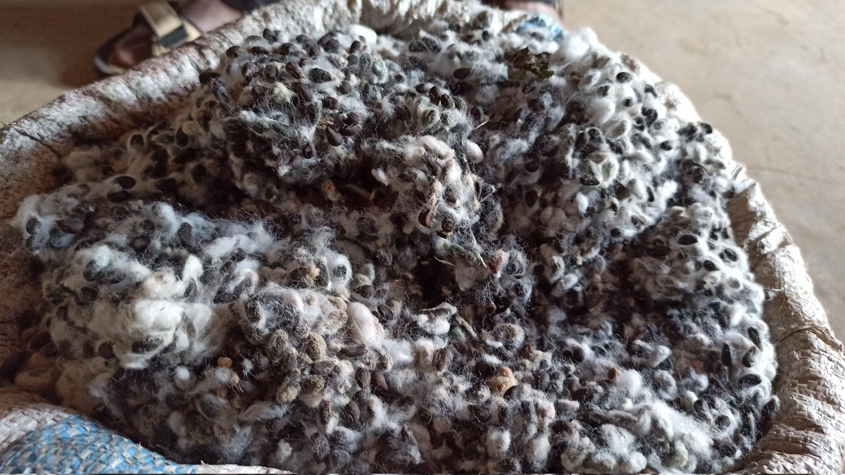 We honour the resilient women filled with positive ambitions to change their families, communities, and beyond through their arts and hard work. Their determination and hard work deserve recognition today and always!
#InternationalWomensDay

#WomenEmpowerment