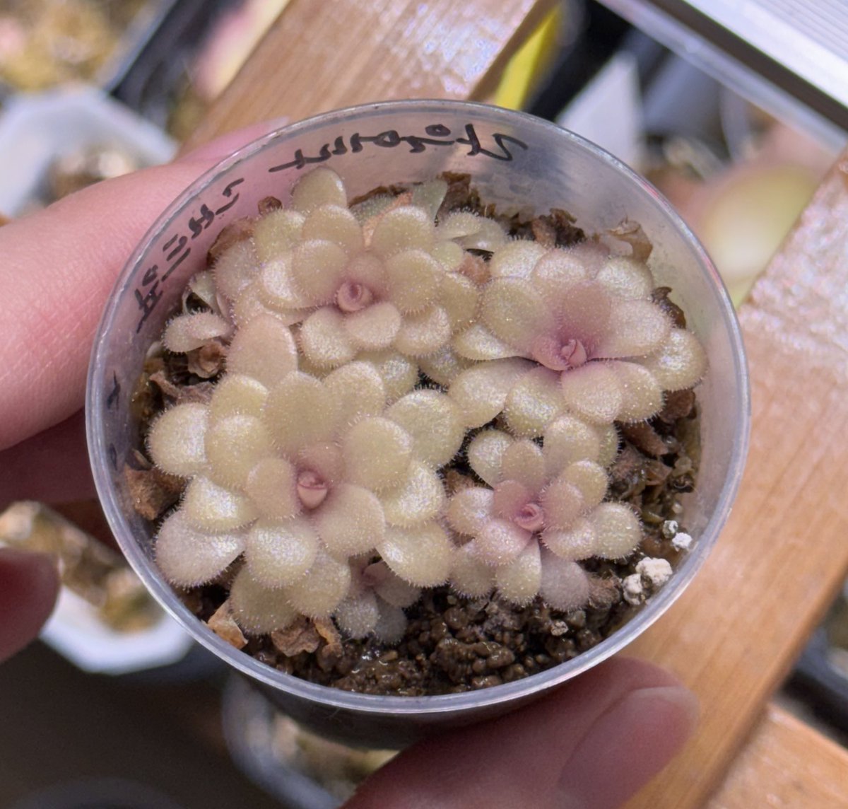 귀엽고 소중해 💭