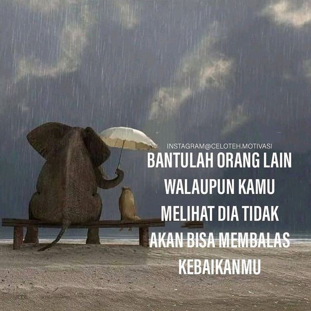 ivy (@_172jt) on Twitter photo 