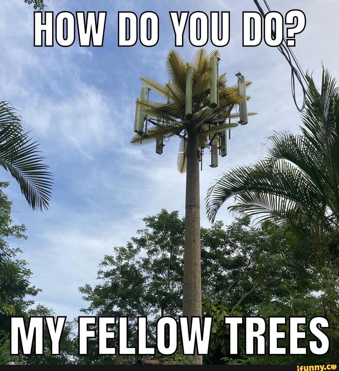 Boomthumb McBangyhand (@j21848822) on Twitter photo 