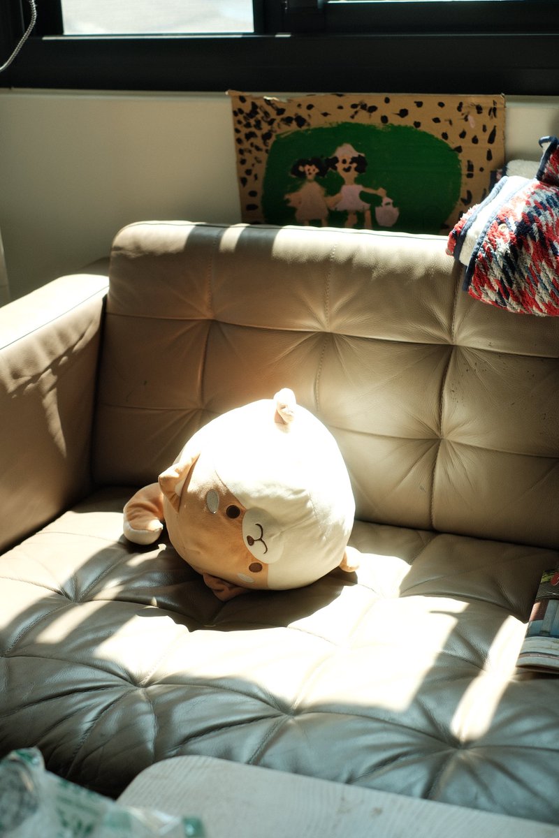 Random morning shots 📷