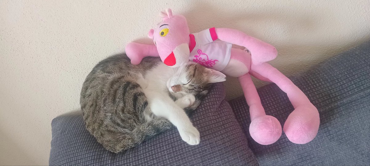 Sevgim üstünde, öyle kal...
#freddy