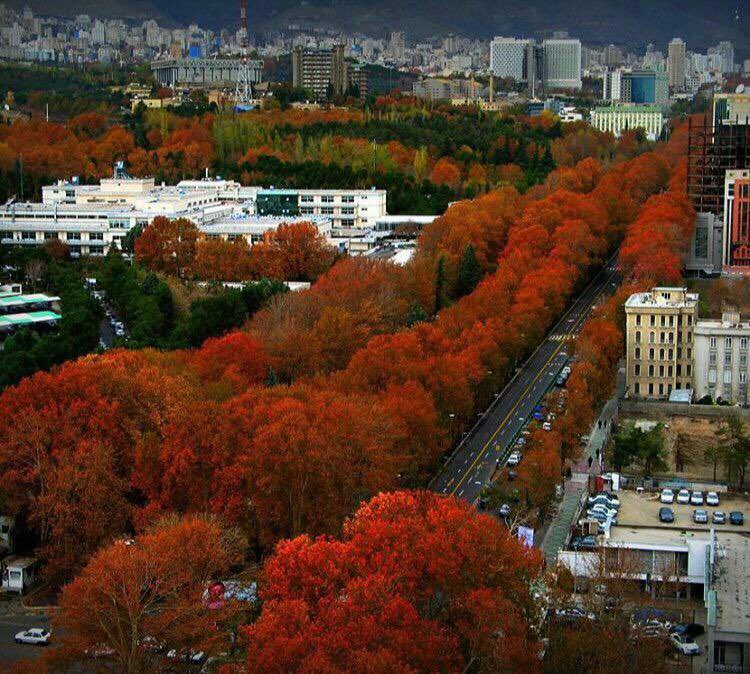 صبح یعنی پرواز !
قد کشیدن در باد
چه کسی می گوید ؛
پشت این ثانیه ها تاریک است ؟
گام اگر برداریم روشنی نزدیک است ...‌‌‌‌!

صبح تون بخیر و نیکی