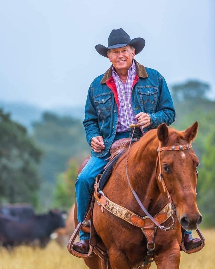 ❤️❤️❤️❤️❤️❤️❤️