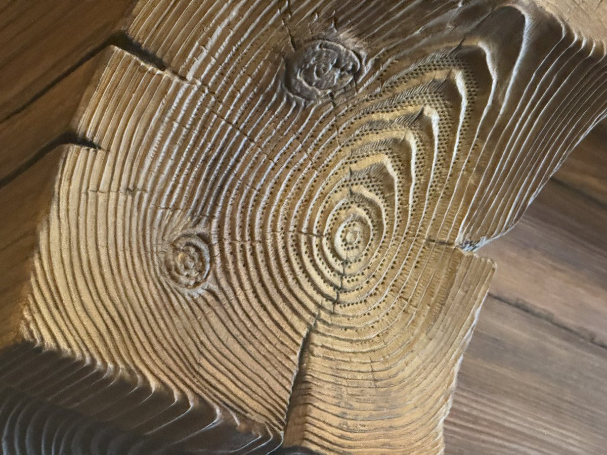 ファンタジースプリングスのえげつないスピーカー隠しを見られて満足