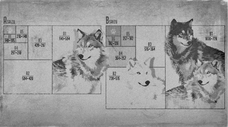 写真を整理整頓。2021年頃
#wolf #オオカミ 