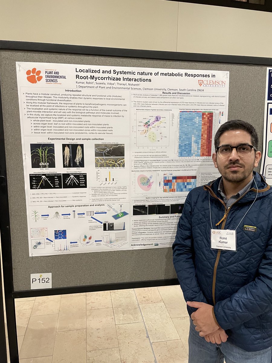 Just presented my work at the Maize Genetics Meeting! Exploring how maize responds to mycorrhizae using global &amp; spatial metabolomics + single-cell transcriptomics. Exciting discussions &amp; insights from the community—can’t wait for what’s next! #MaizeGenetics #Metabolomics