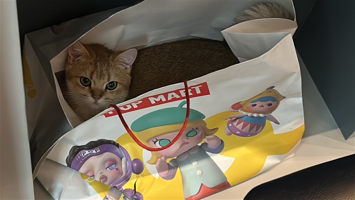 Happiness is all around. ♡