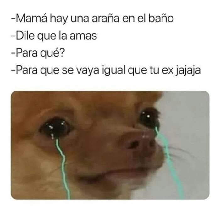 El Meme (@memessv7) on Twitter photo 