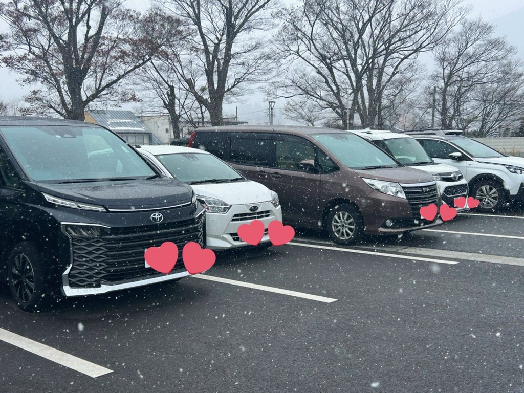 yms0_0's tweet photo. これはファミリーカーに挟まれて肩身が狭いマイカー https://t.co/nDAbKOKd13