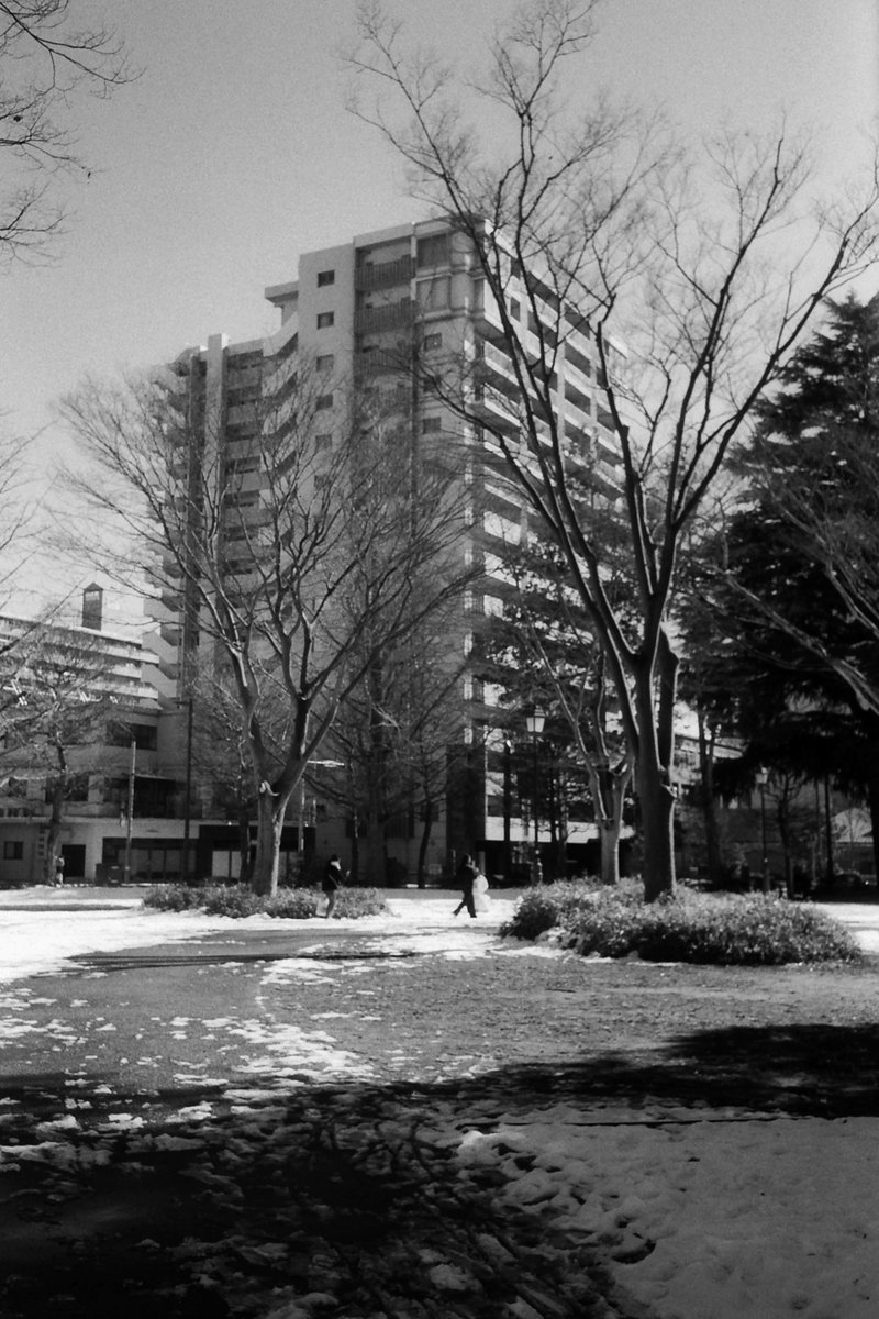 yukihay01339636's tweet photo. 西公園
#orwo #un54 #spur #silversalt_developer #biogon (35mm f2.8 +y1 filter) #contax2 #zeiss_ikon https://t.co/S36JfzJtua