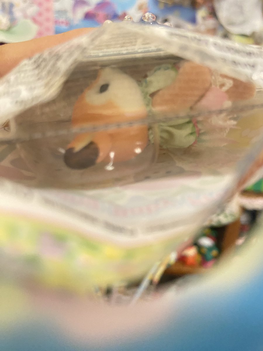 かわいい tweet media