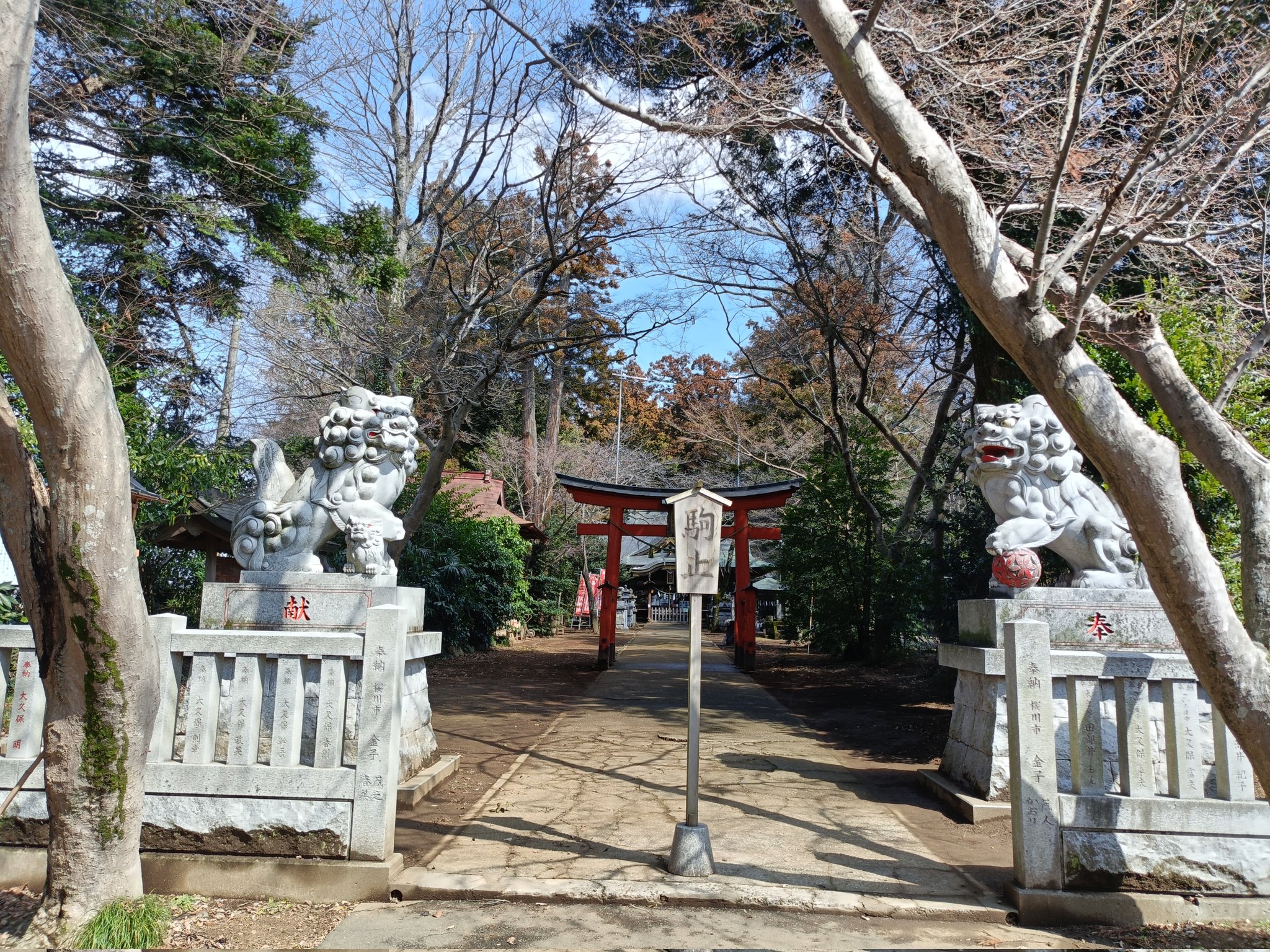 八千代町歴史民俗資料館【公式】 (@yachiyo_rekimin) / X 八千代町歴史民俗資料館【公式】 (@yachiyo_rekimin) / X