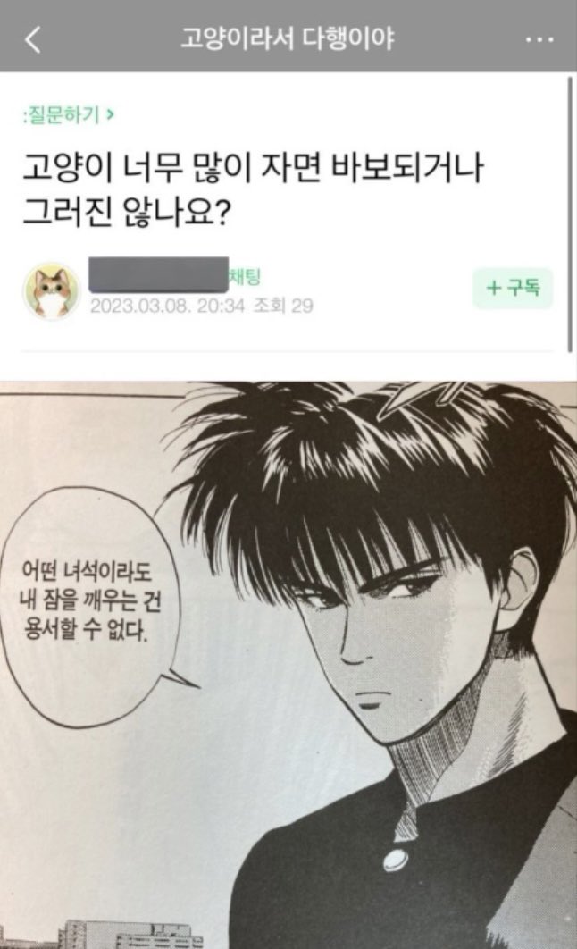 콩 (@yesicando__) on Twitter photo 