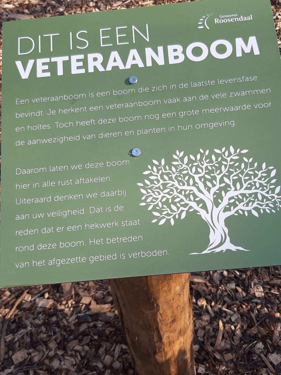 MardeJonge1's tweet photo. https://t.co/RTuu8YwyrR