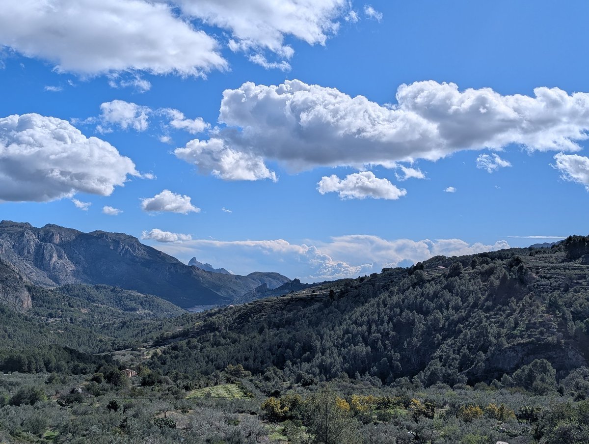 Després d'uns dies de plutja i núvols, tornem a veure el blau del cel ⛅ #Abdet