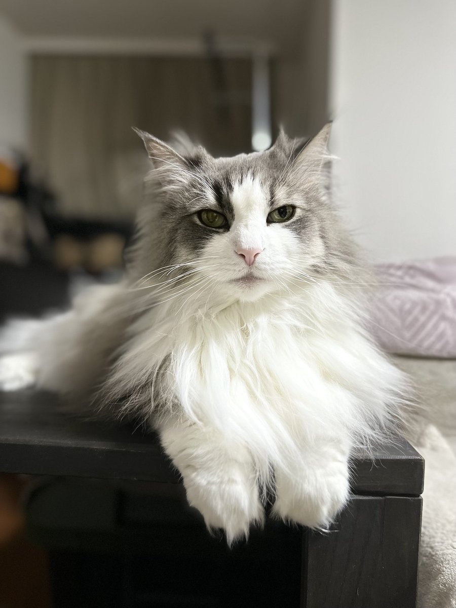 予測変換のバグよ
十割そば　新宿って調べようと思ったら
十割そば　シンギュラリティって調べちゃった