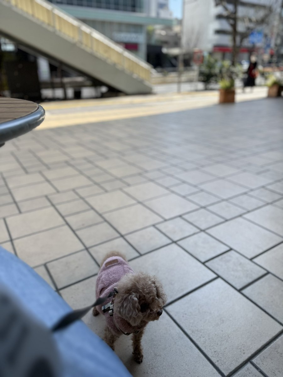 hiro44 tweet media