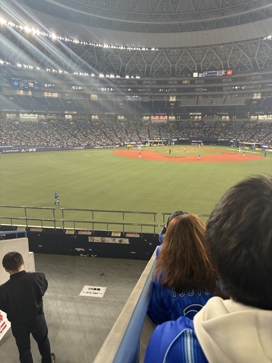 今日はここから