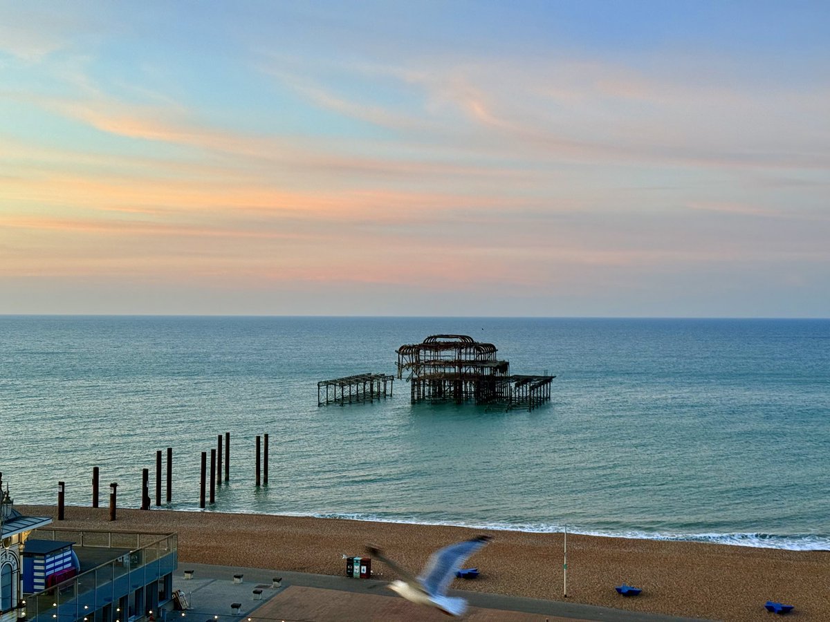 Stephen Royle (@steveontour1) on Twitter photo A verv pleasant start to the day in #Brighton. #UsualSeagull enjoying the sunrise. <a href="/ThePhotoHour/">#ThePhotoHour</a> <a href="/StormHour/">#StormHour</a> A verv pleasant start to the day in #Brighton. #UsualSeagull enjoying the sunrise. <a href="/ThePhotoHour/">#ThePhotoHour</a> <a href="/StormHour/">#StormHour</a>