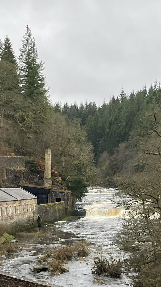 BolsKitty's tweet image. 🏴󠁧󠁢󠁳󠁣󠁴󠁿 #newlanark #tattiescone