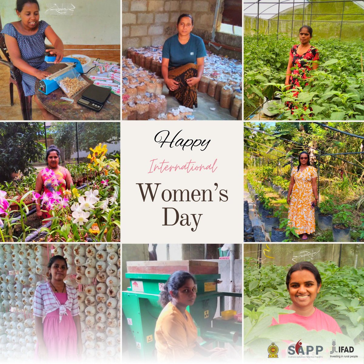 "On this Women’s Day, we celebrate the strength and resilience of women in agriculture nurturing the land, feeding communities, and driving sustainable change.  <a href="/IFADAsia/">IFAD Asia</a>  <a href="/SherinaTabassum/">Sherina Tabassum</a>