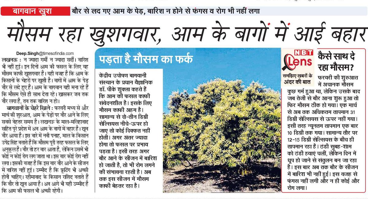 बौर से महक रहे आम के बाग-
#NBT Lucknow, 9 March 2025 <a href="/NBTLucknow/">NBT Lucknow</a> <a href="/NBTDilli/">NBT Dilli</a> <a href="/SudhirMisraNBT/">सुधीर मिश्र Sudhir Misra</a> <a href="/manishsNBT/">Manish srivastava</a> <a href="/nbtRanvijay/">Ranvijay Singh</a> <a href="/rishisengarNBT/">Rishi sengar</a>