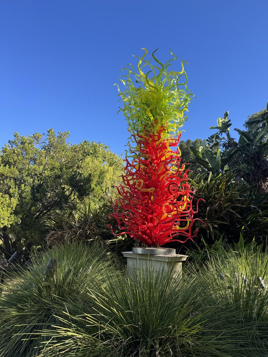 ShaunKiddell's tweet photo. Fabulous exhibition of Dale Chihuly glass at Adelaide Botanic Garden #southaustralia https://t.co/kgKCDRclr9