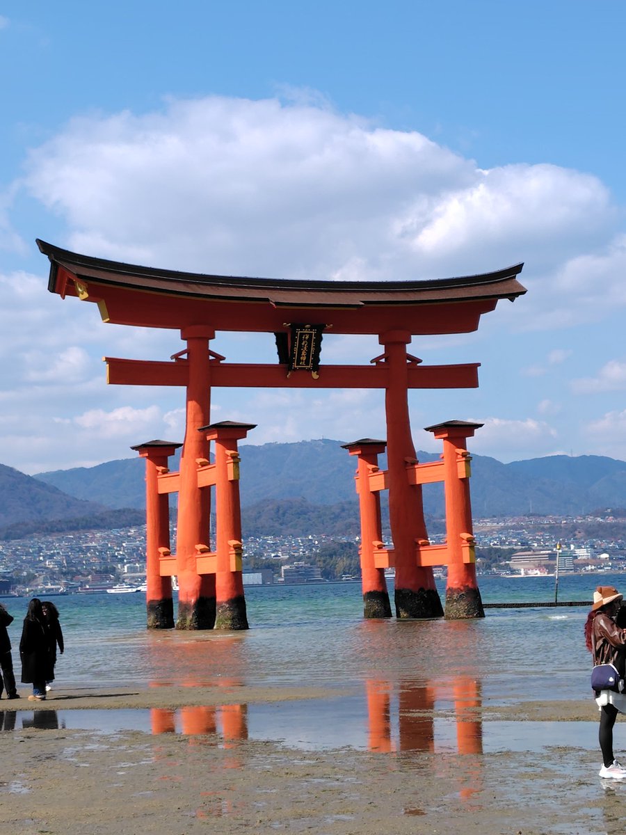 Ken45901022's tweet photo. 食べ物を狙ってる宮島の鹿たち
さっそく背後から忍びよられてドリンクひっくり返されてる人いた https://t.co/IG3qU7QooU