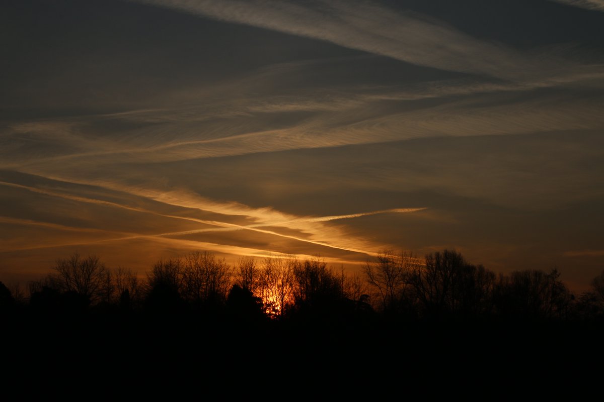 Frau Köpfchen tweet media