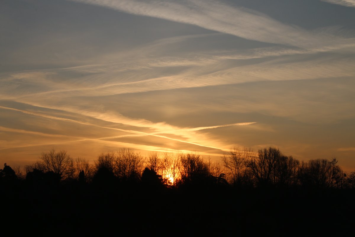 Frau Köpfchen tweet media