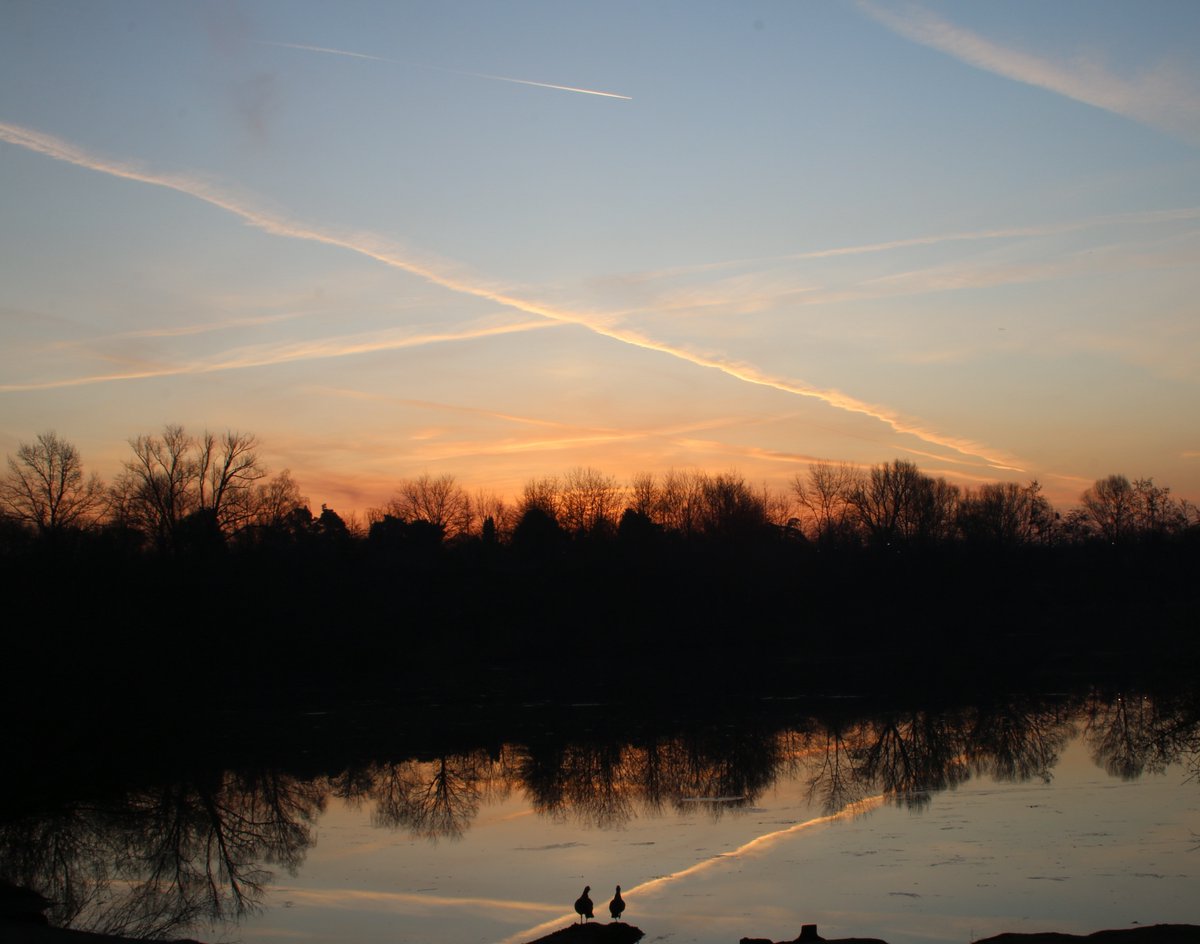 Frau Köpfchen tweet media