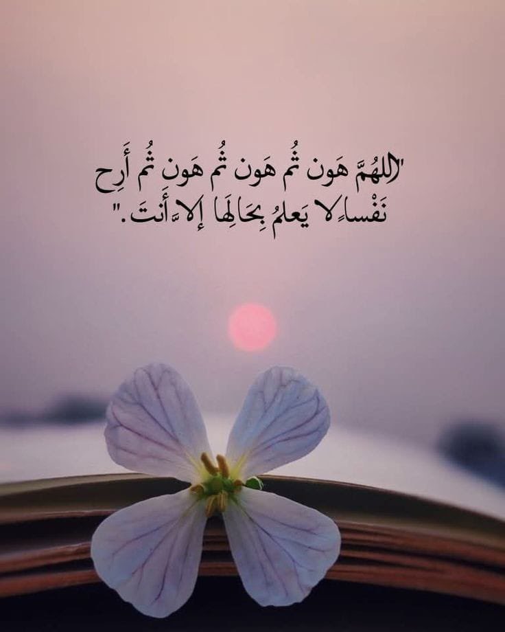 AldmanAlmtwr's tweet photo. #مسابقة_رمضان

💥💥💥 مبلغ مالي  💥💥💥
السحب الليله ان شاء الله من الردود عشوائياً 

الشروط : 
متابعة الحساب 
ورتويت 
والنشر 
والرد على التغريدة
.

بالتوفيق للجميع https://t.co/qXPyjQvmTb