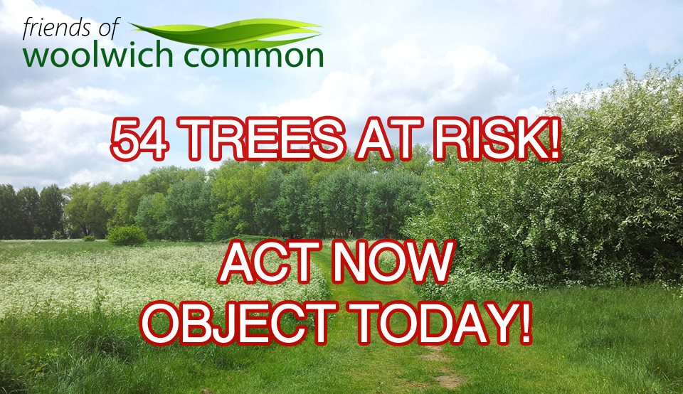 WE NEED YOUR  HELP! Please object to a  planning application which threatens to fell 54 trees, many magnificent  mature ones, in #woolwichcommon. 
We need as many people as possible to raise their voices by 26th March. Details here: friendsofwoolwichcommon.org.uk/save-trees/#sa…