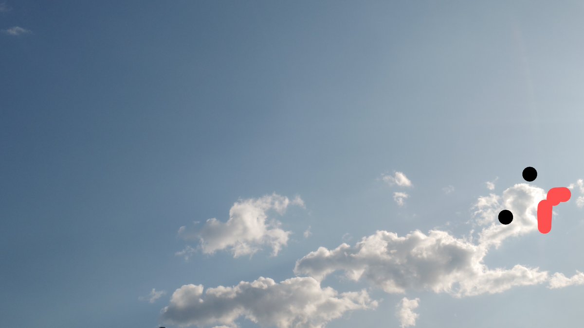 Koto05rin's tweet image. #イマソラ 
 #今日のわんこ