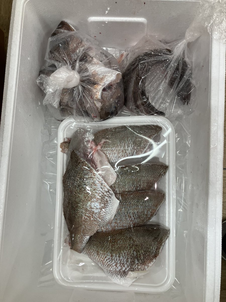 taka_5602's tweet photo. 関西釣り部初不参加も、タイ爆釣につきお裾分け。やはりタイは養殖に軍配。
近所のスーパーで無料で捌いてくれてありがたい。 https://t.co/EO7EddpKaT