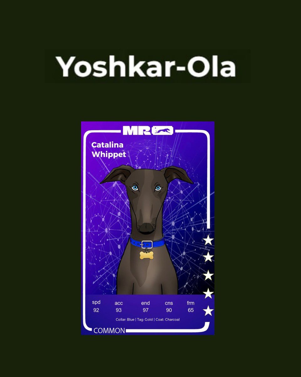 0xUsurper's tweet image. 𝐘𝐨𝐬𝐡𝐤𝐚𝐫-𝐎𝐥𝐚 takes 1st her first time!          

Brought home 1420 FROTH ($6.44)    

Video: youtu.be/pLCTGulXNlM

#WhippetRacing #Racing #Web3 #Web3Games #Web3Gaming #CryptoGaming $FROTH $POL $USDT @muzzle_run