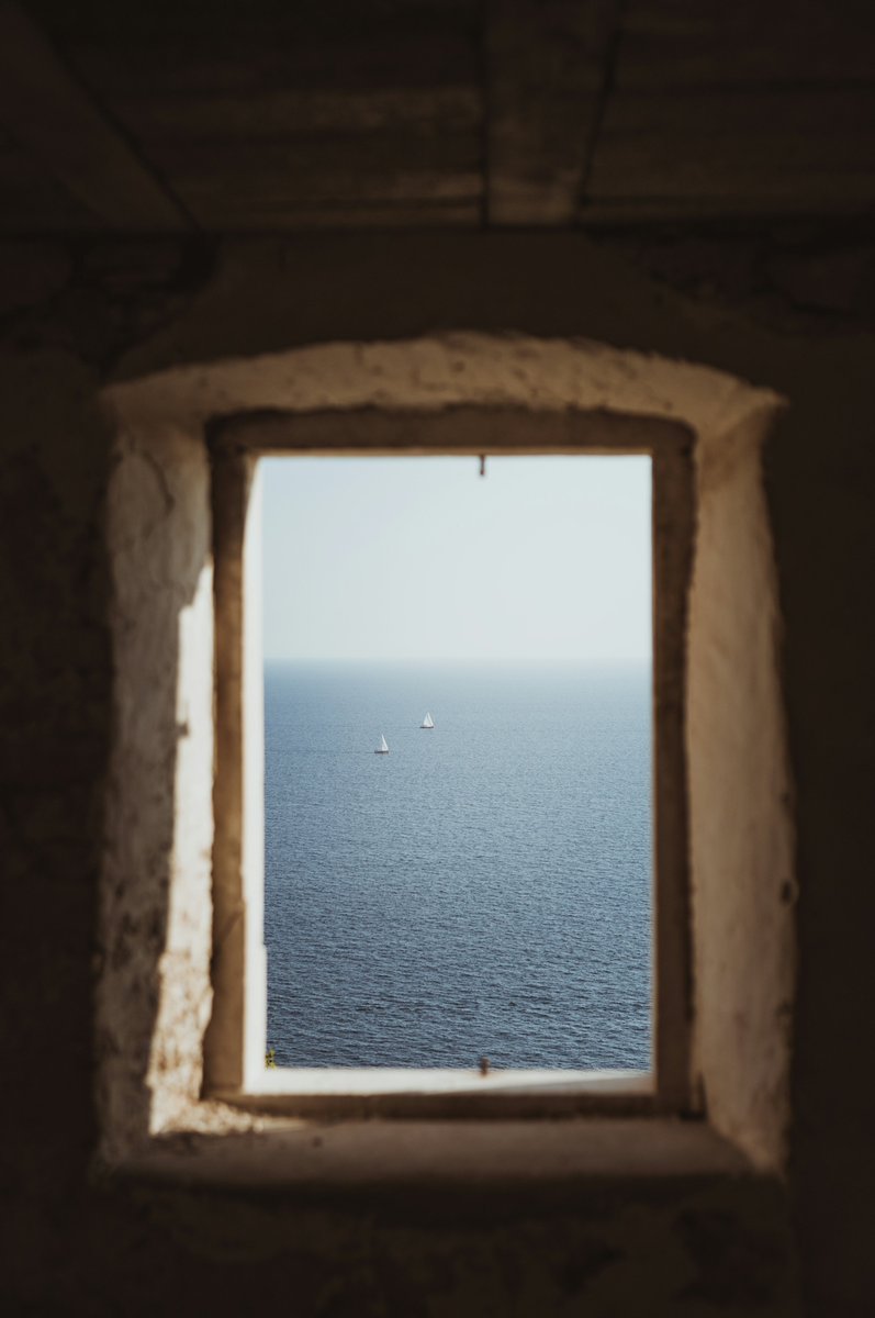 earthcurated tweet picture