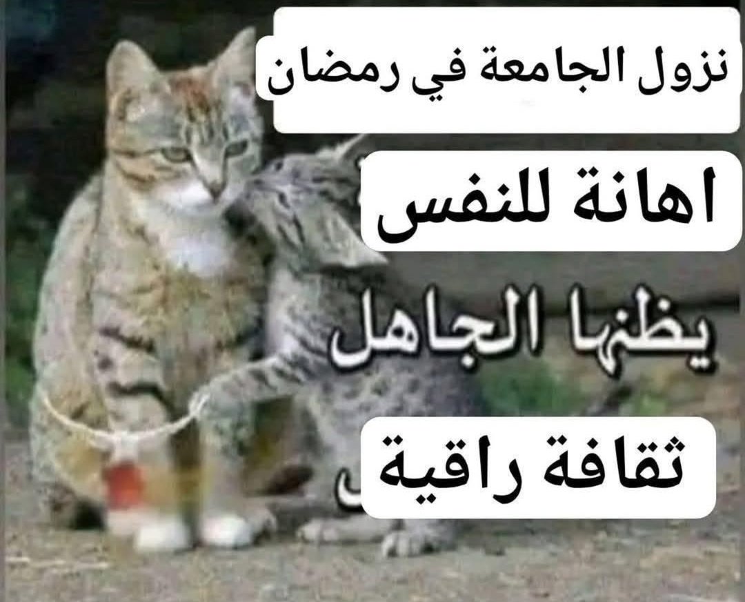 إتش الجليتش (@h_the_glitch) on Twitter photo 