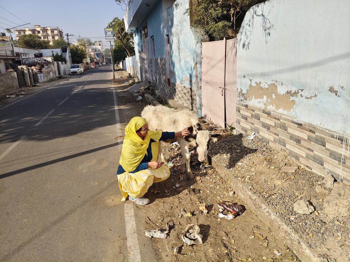 *अपने किरदार को अपने हिसाब से बनाइये,,,क्योंकि दुनियां की नजरों में तो ऊपर वाला भी गुनहगार है,,!*
*🙏🙏 राम राम सा 🙏🙏*