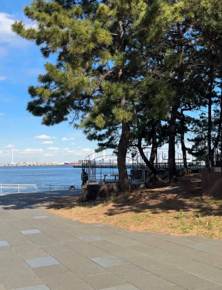 今日は走りやすい天気になりましたね🏃‍♀️