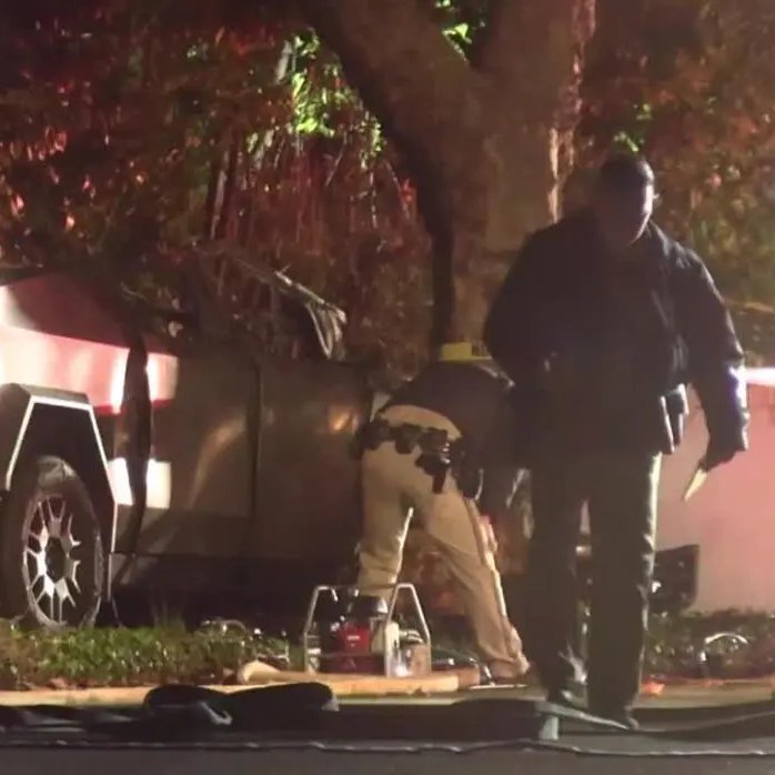 Mario Nawfal tweet media